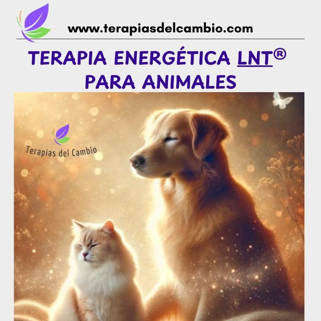 terapia energetica animales